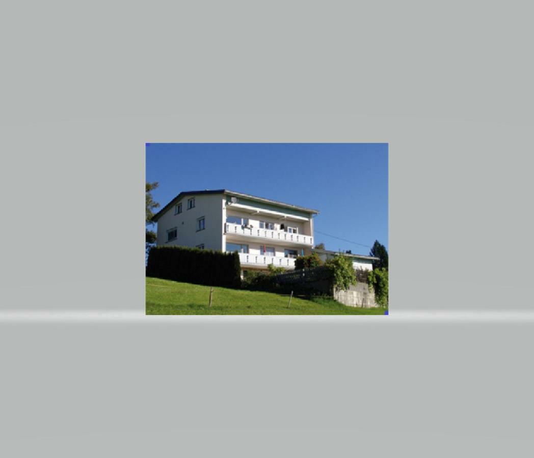 Haus Homann Appartement Sulzberg  Buitenkant foto